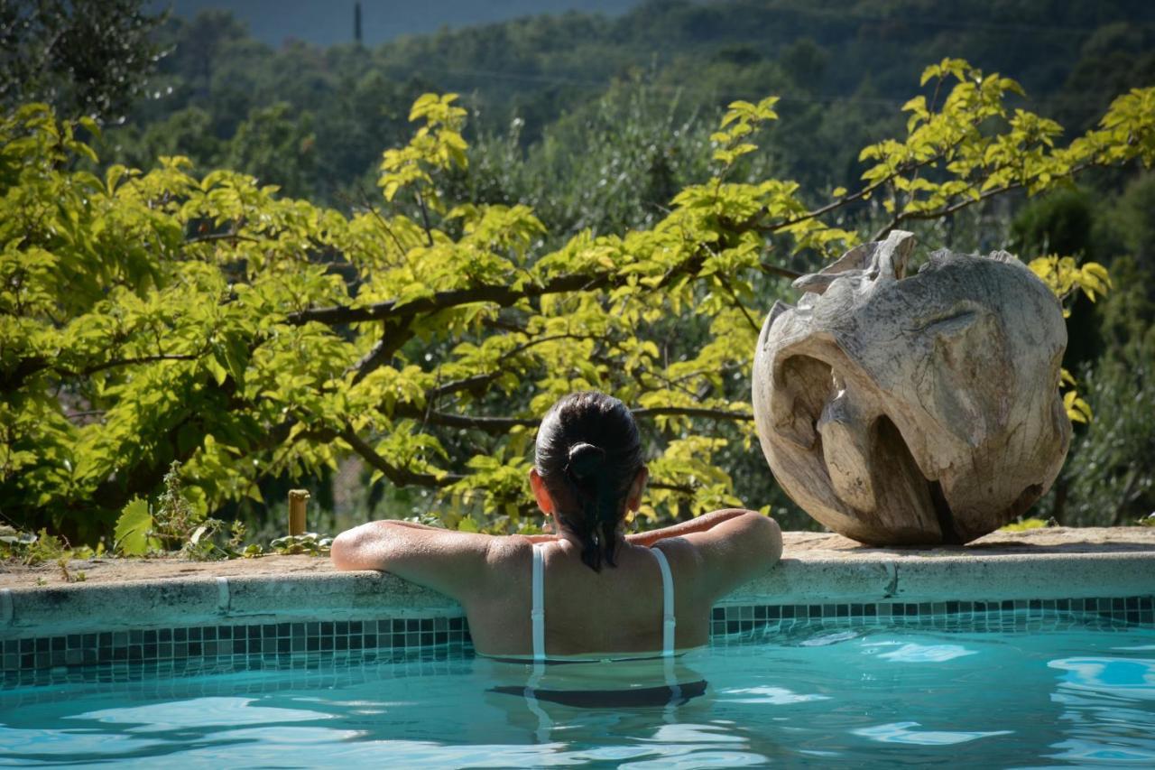 Domaine Des Tilleuls D'Or Saint-Cezaire-sur-Siagne Bagian luar foto