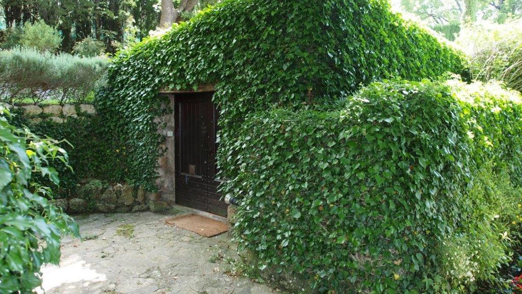 Domaine Des Tilleuls D'Or Saint-Cezaire-sur-Siagne Bagian luar foto