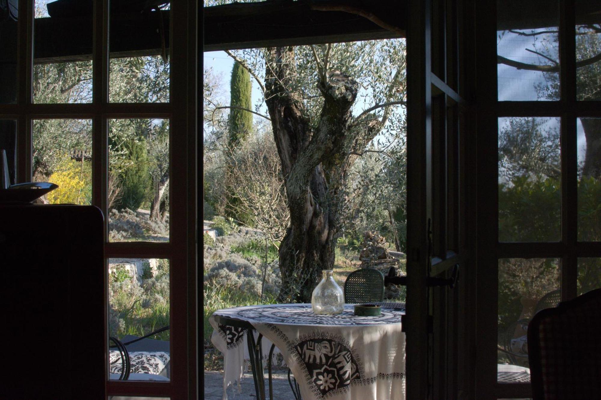 Domaine Des Tilleuls D'Or Saint-Cezaire-sur-Siagne Ruang foto